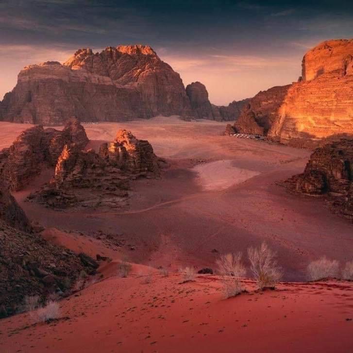 WADI RUM-Bedouin Tents Eksteriør billede