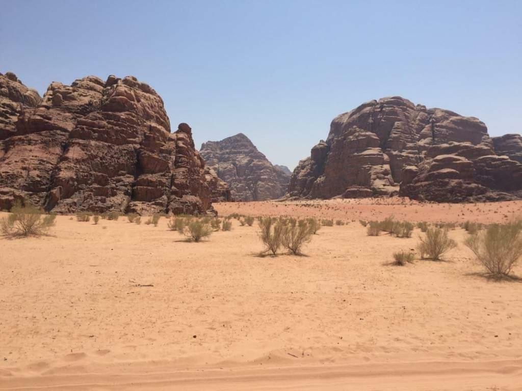 WADI RUM-Bedouin Tents Eksteriør billede