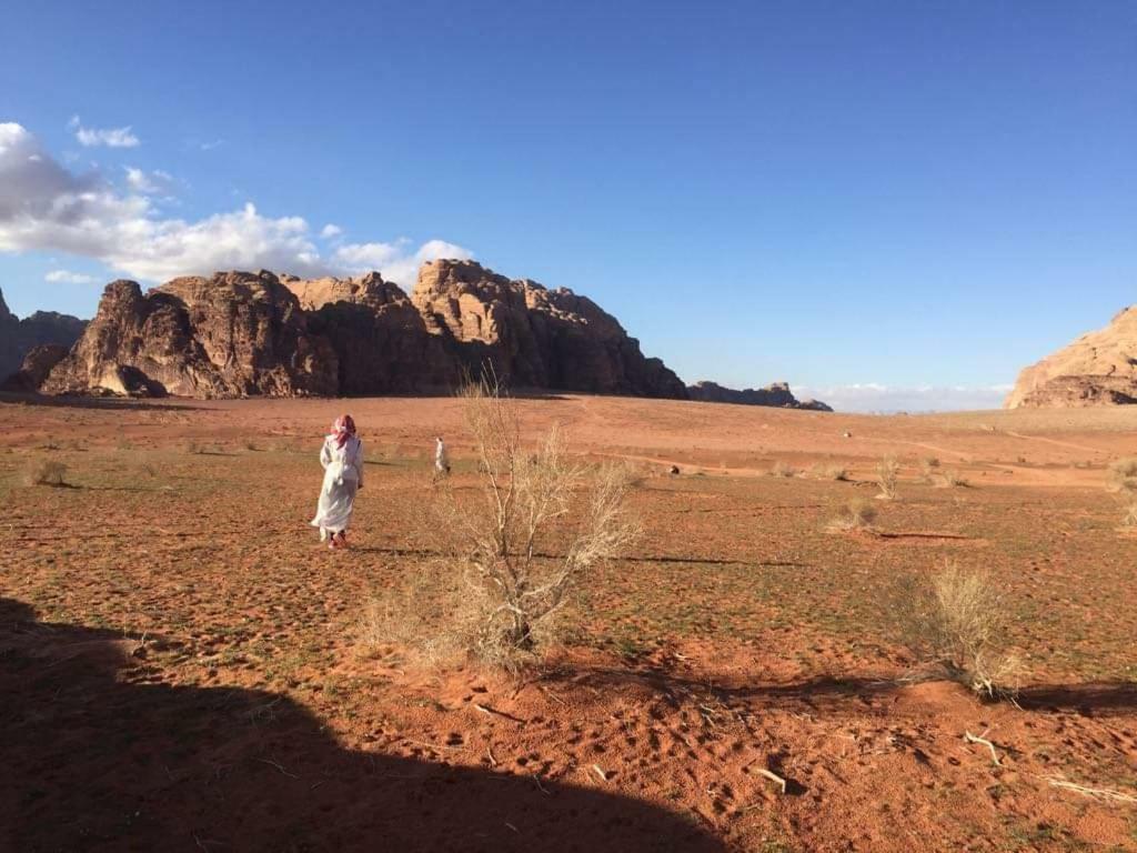 WADI RUM-Bedouin Tents Eksteriør billede