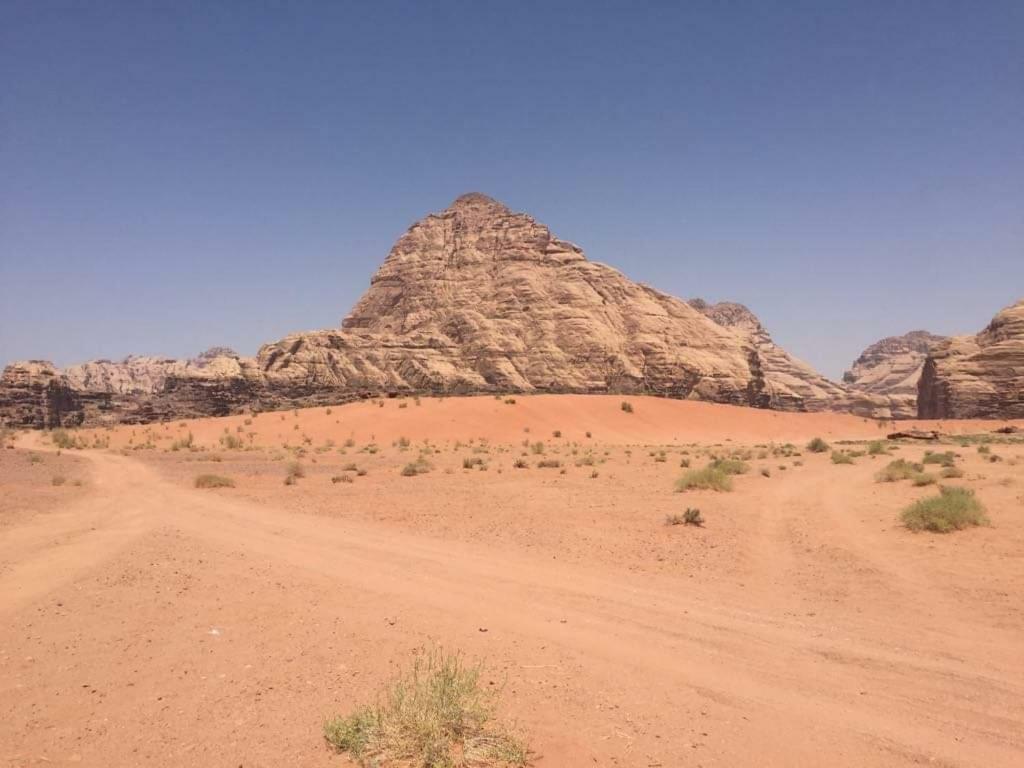 WADI RUM-Bedouin Tents Eksteriør billede