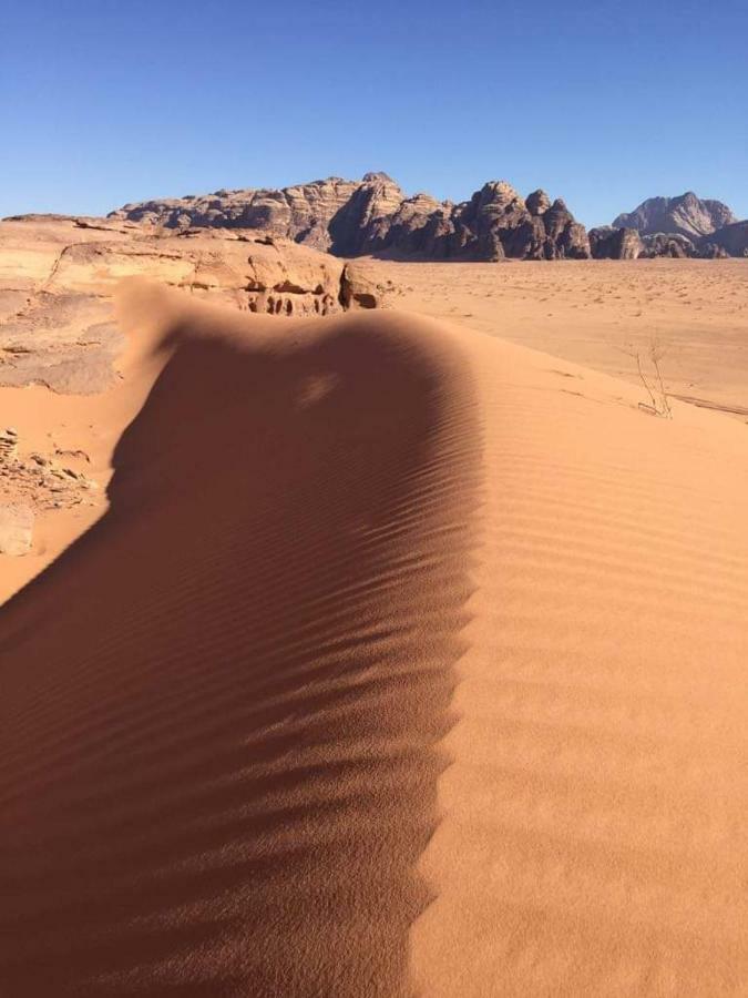 WADI RUM-Bedouin Tents Eksteriør billede