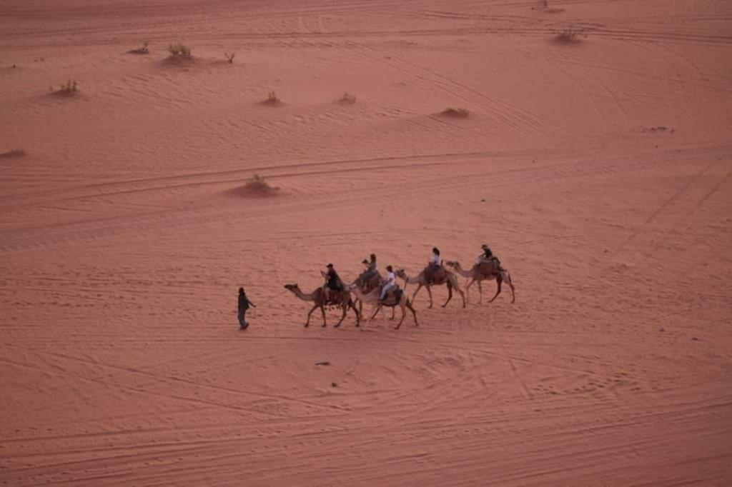 WADI RUM-Bedouin Tents Eksteriør billede