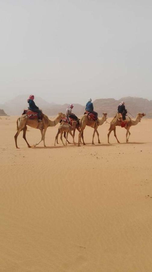 WADI RUM-Bedouin Tents Eksteriør billede